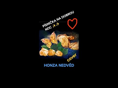 PÍSNIČKA NA DOBROU NOC ✨ ???? ✨HONZA NEDVĚD ✨/NEW 2025!COVER BY OTA ON KORG PA 700