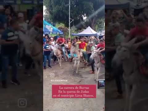 🇨/🇳 ||  En la quema de Judas en la Parroquia Macapo del Municipio Lima Blanco, carrera de Burras