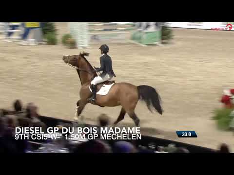DIESEL GP DU BOIS MADAME - 9th CSI5*-W 1.50m GP Mechelen