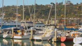 Point Loma City Lights View San Elijo Michelle
