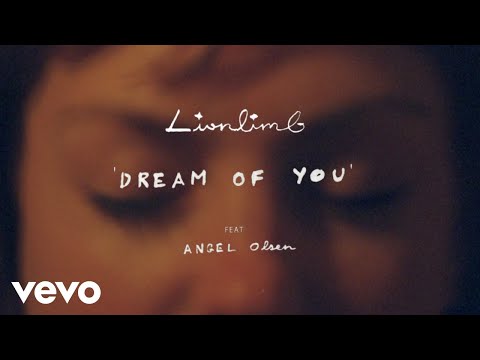 Video thumbnail for Dream of You