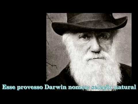 Human's Responsibility