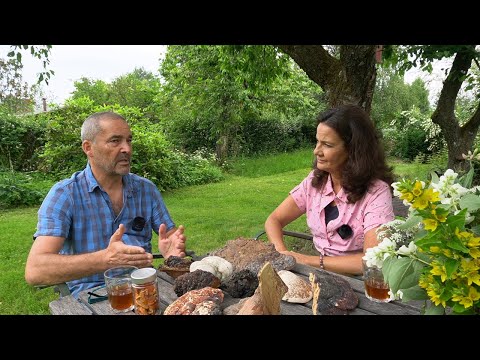 The power of medicinal mushrooms Katrin Huß in conversation with Michael Reisinger