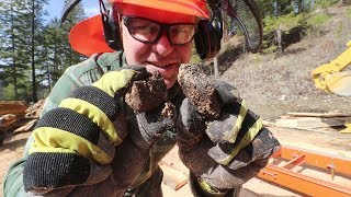 ONE THING you should NEVER DO WITH A PORTABLE SAWMILL!