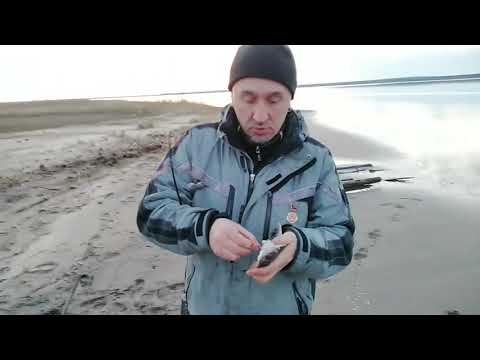 Ловим камбалу в прибрежье белого моря май 2019