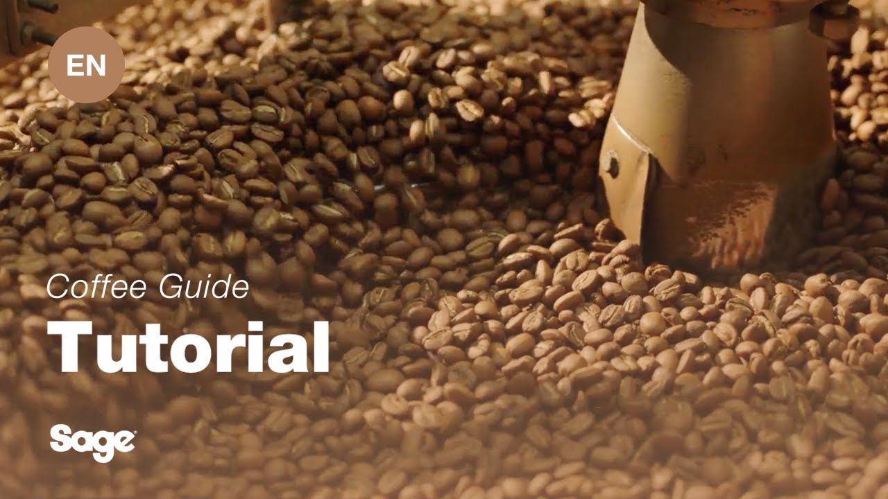 Brevilles handledning för att göra kaffe - Att välja rätt bönor