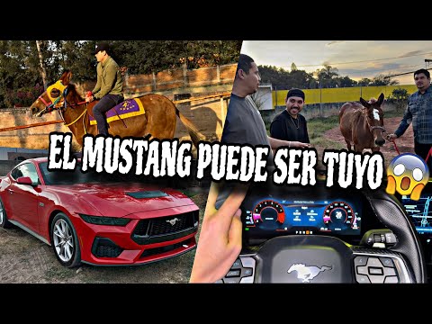MI HERMANO MARKITOS TOYS ME PRESTA SU CARRO FORD MUSTANG Y VAMOS A VER LA FAMOSO LICHA |ELKC|