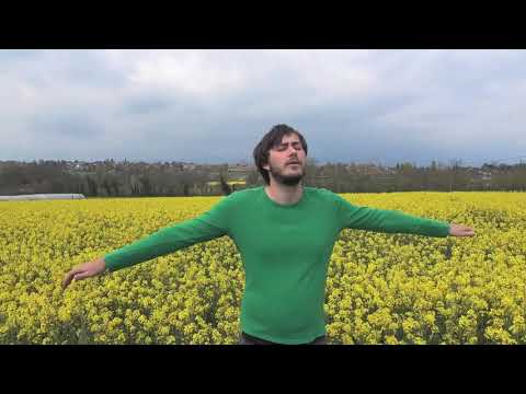 SuperXavXav - Papillon