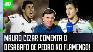 ‘O Pedro falou algo que…’: Veja o que Mauro Cezar achou do desabafo após Altos x Flamengo