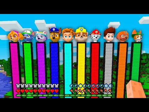 I found LONGEST PORTALS OF PAW PATROLS RYDER ROCKY CHASE MARSHALL SKYE RUBBLE ZUMA in Minecraft