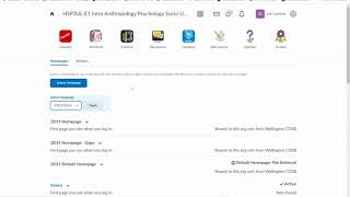 Brightspace - Changing the Homepage Widgets
