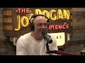 Joe Rogan Experience 1881 Rick Rubin