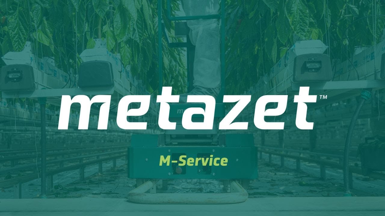 Metazet | M-Service