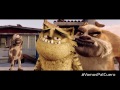 Trailer BAD CAT Panama - BAD CAT Trailer BAD CAT Panama