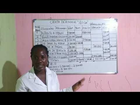 cálculo do valor do património e da situação líquida.