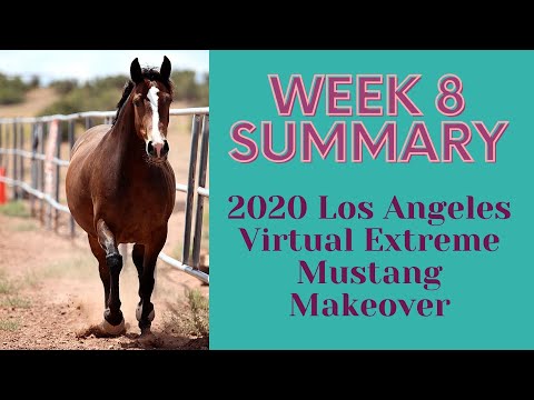 Week 8 Summary, 2020 Los Angeles Extreme Mustang Makeover, lots of cool stuff happening!