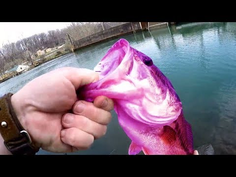Amazing Fishing Catching From River By Hook !!! Survival skills Catch big fish !!!