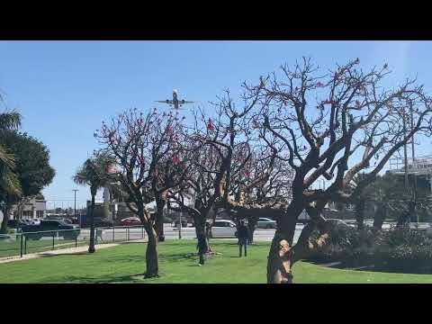 JetBlue A321 GO AROUND AT LAX! *CROSS WINDS