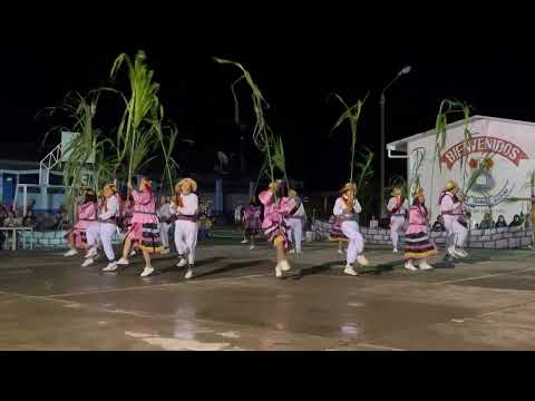 Cañeros de San Jacinto - Taso grande de Cachicoto - Cachicoto - 2022