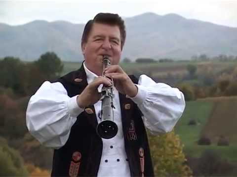 Dumitru Dobrican  Doina Frunzei