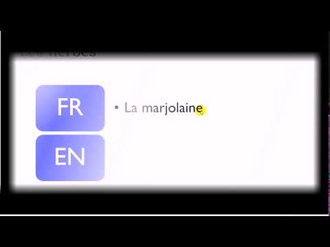 Learn French with us lesson 221