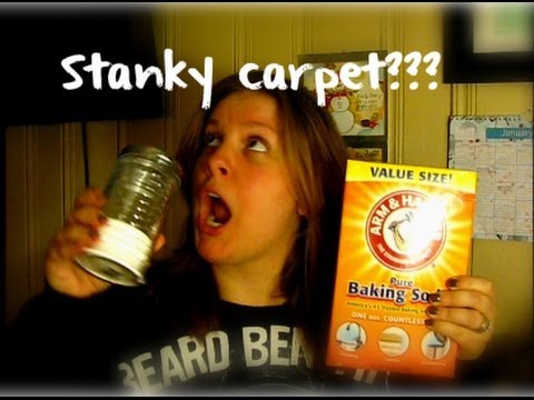 download lagu mp3 mp4 How To Get Rid Of Carpet Smell, download lagu How To Get Rid Of Carpet Smell gratis, unduh video klip How To Get Rid Of Carpet Smell