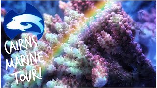 Cairns Marine Australia | Incredible Fish and Coral Facility Tour