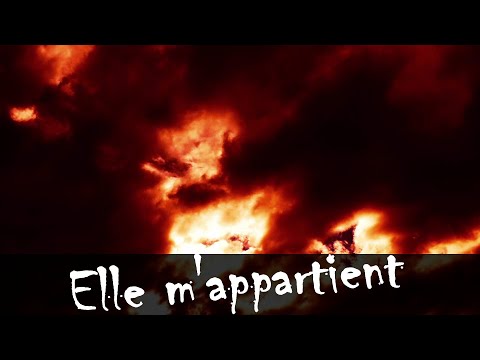 Videoclip de Elle m'appartient (C'est une artiste) — Francis Cabrel