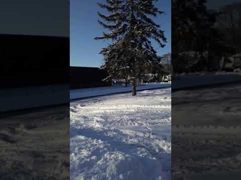 Ten inch snow 2/9/2020 twins cities