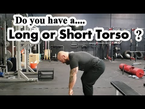 Do You Have Good Squatting Leverages How to Find Your Limb to Torso Ratio