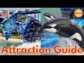 SeaWorld Orlando ATTRACTION GUIDE - All Rides + Shows