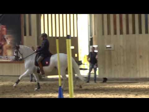 Pierre Evrard on Apupo das Lezirias maniabilité Working Equitation competition Paris 2018