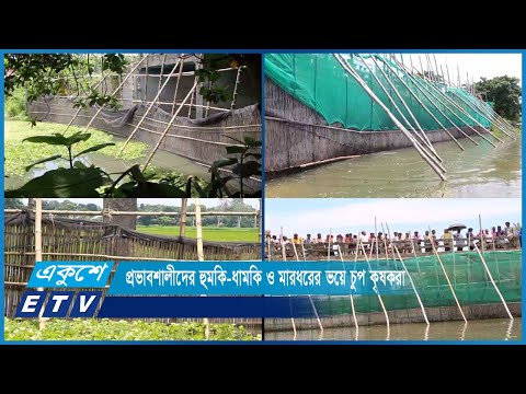 চাটমোহরে ব্রিজের মুখ আটকে বিলের সাতশ’ বিঘা জমিতে মাছ চাষ করছেন ইউপি চেয়ারম্যান | ETV News