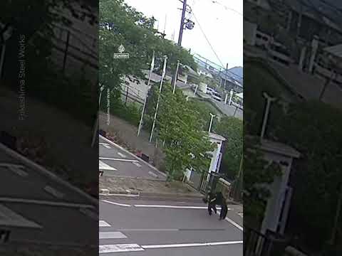 Fukushima bear attack captured on CCTV