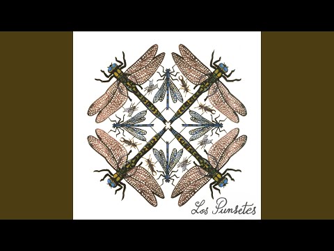 Video thumbnail for Accidentes