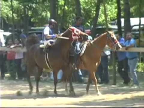 El zafiro vs.El JB.mov