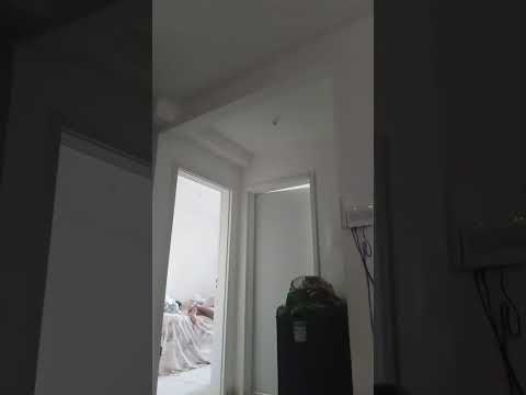 ELE É ESPECIAL  ELE É MEU AMIGO BARRO VERMELHO BELEM ALAGOAS BRASIL