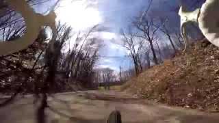 Joyride Through Suburbia