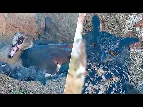 05.–06.03.2026: Ein seltener Waffenstillstand