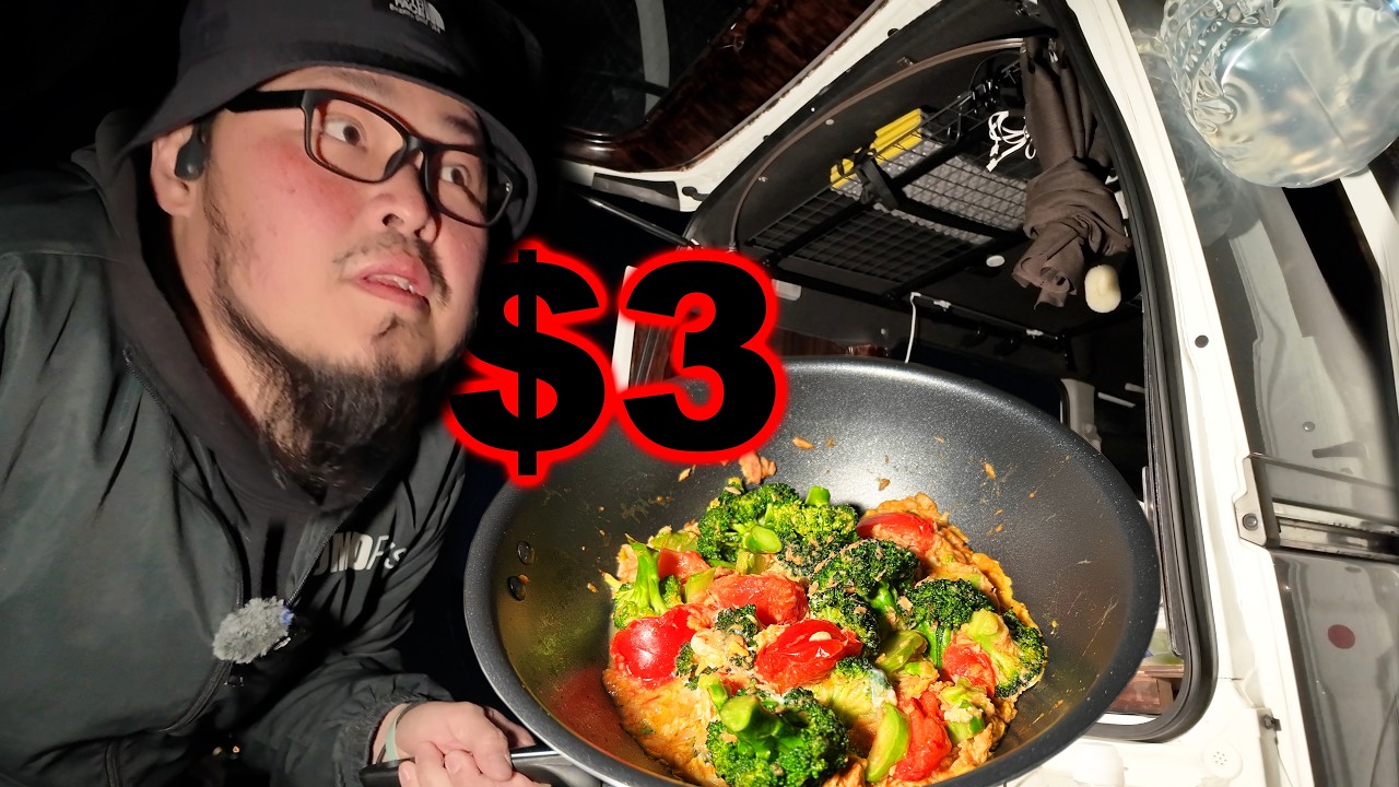 A day of homeless van life in Japan