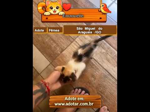 Vídeo de Emanuelle 