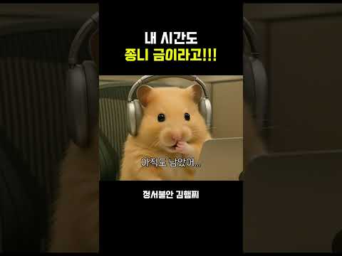 내 시간도 금이다