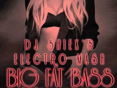 Britney Spears Big Fat Bass Electro Mashup by Dj Shiek