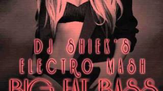 Britney Spears Big Fat Bass Electro Mashup by Dj Shiek