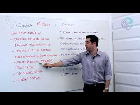 Solidariedade mecânica e orgânica