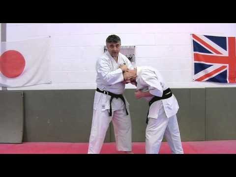 ippon nukite Bunkai Strategies 2015 week 28 koryu karate oyo jutsu