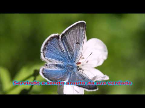 Pela sua palavra Etiene Pires