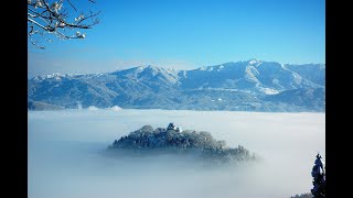 越前大野城