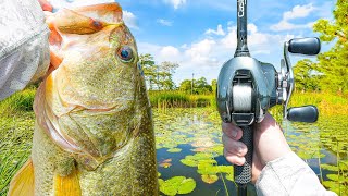 I Found A HIDDEN Bass Fishing Paradise (Nonstop Action)