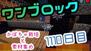 【１１１０日目】ワンブロックでハードコアな世界を生き残る